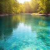 Sunny beach scene with clear blue water and vibrant greenery.